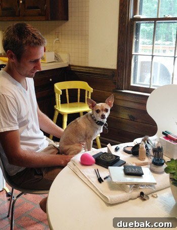 A dog looking at makeup tools on a counter