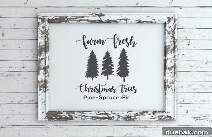 Farm Fresh Christmas Trees Sign Closeup