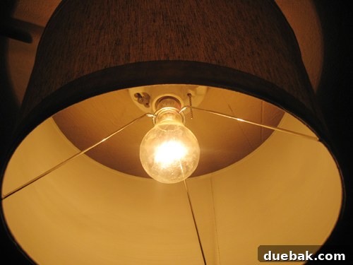Close-up detail of a lampshade's metal ring slipped over a light bulb, demonstrating how the shade is held in place by screwing the bulb into the fixture.