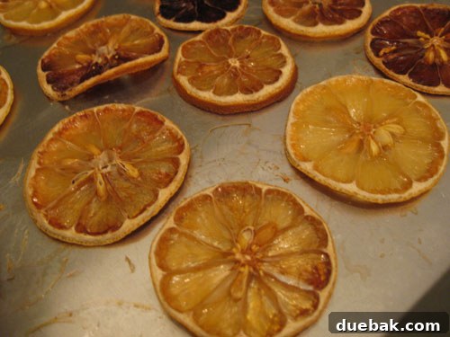 Crafting Radiant Dried Orange Ornaments 8 Dried lemon and orange slices with varying degrees of success, some showing more translucency than others, illustrating the results of the drying process.