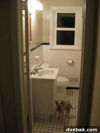 Our dog Burger looking into the old bathroom before demolition begins, a last farewell to the outdated space.