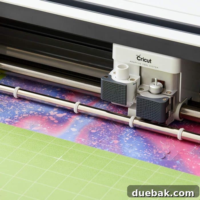 Cricut Infusible Ink Blank and Transfer