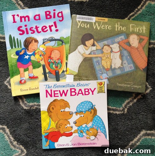 big sister book recommendations