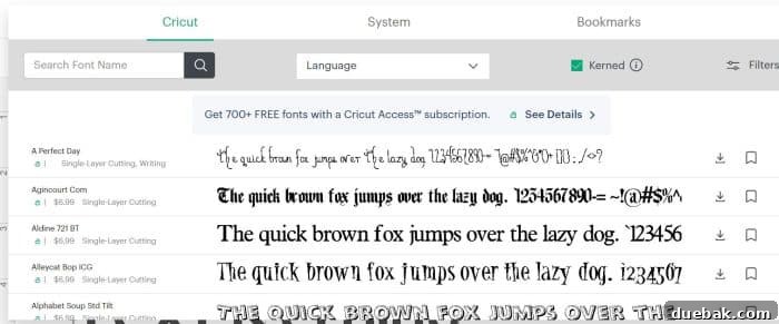 Essential Cricut Access Fonts for Every Crafter 3 Checkbox in Cricut Design Space to filter fonts to show only fonts that are kerned, simplifying selection for connected script text.
