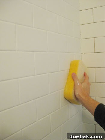 Cleaning excess grout with a damp sponge