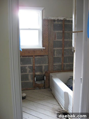 bathroom-stripped-down-renovation