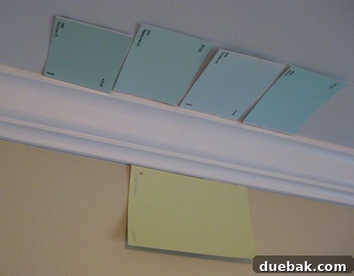Nursery Ceiling Paint Swatches