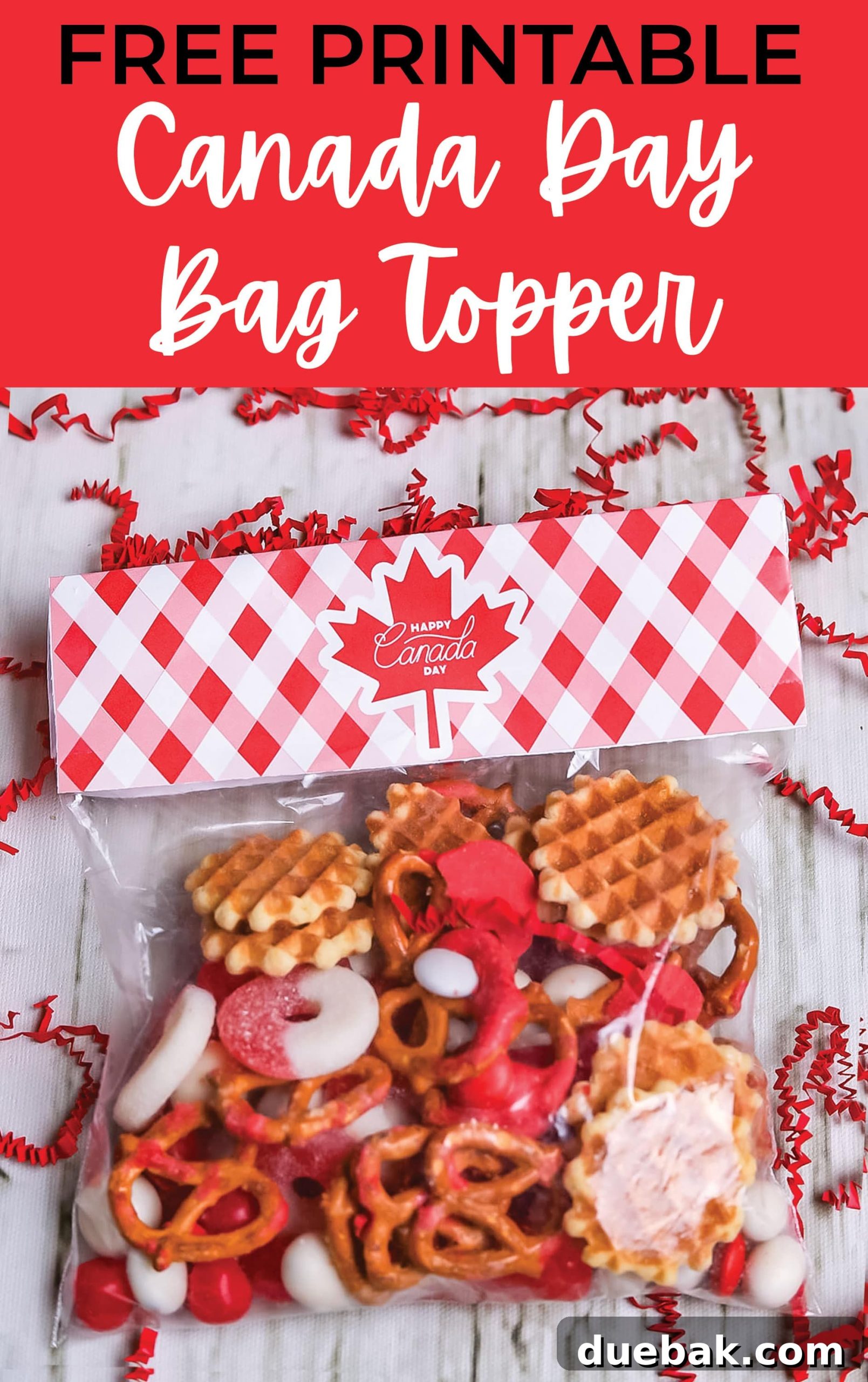 Pinterest graphic featuring Canada Day treat bags and text 'Canada Day Treat Bags + Free Printable'