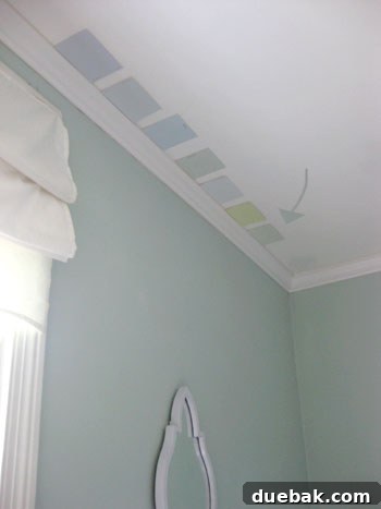 Mastering Paint and Accent Colors for Striking Interiors 8 Identifying paint undertones