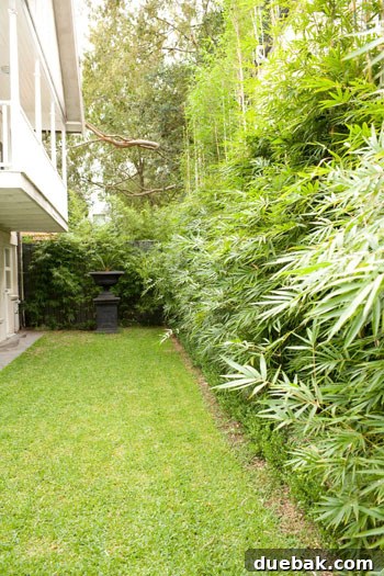 Sydney Architectural Marvel: A Home Unveiled 15 Lush, private backyard showcasing green landscaping and outdoor relaxation
