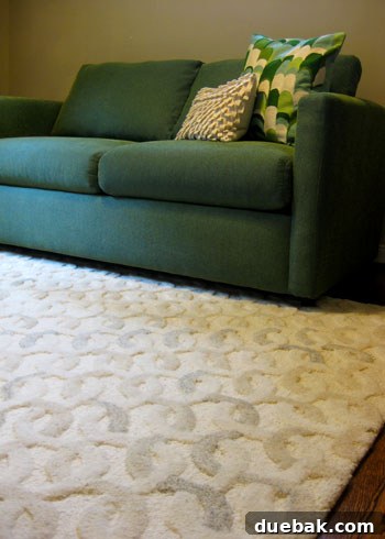 Room with sleeper sofa in place, showing vast open floor area.