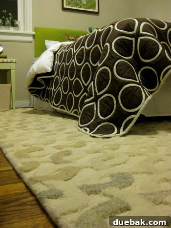 Burger the dog lying on the rug under the daybed arrangement.