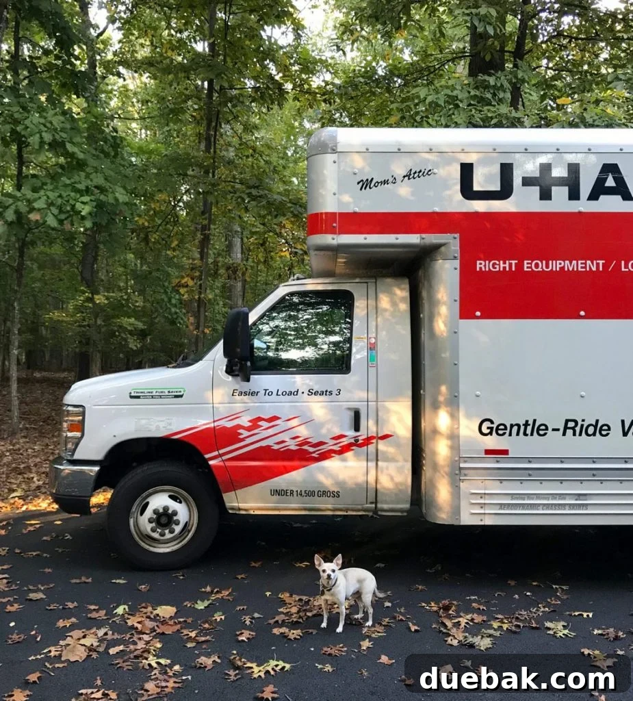 5 Genius Ways to Move Big Stuff Your Car Can't Carry 6 Uhaul moving truck with chihuahua out front