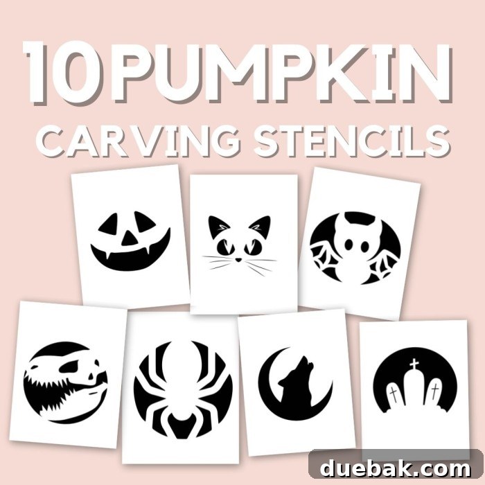 A vibrant display of various Halloween images and patterns, ready to be used as pumpkin carving stencils, showcasing a mix of spooky and cute designs.
