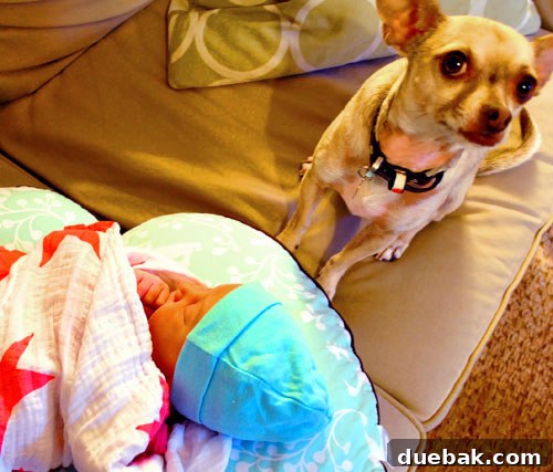 Our newborn daughter, Clara Kenley Petersik, peacefully sleeping in a swaddle