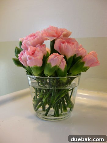 A bonus bouquet of small pink carnation buds in a glass candle holder in a half bathroom.