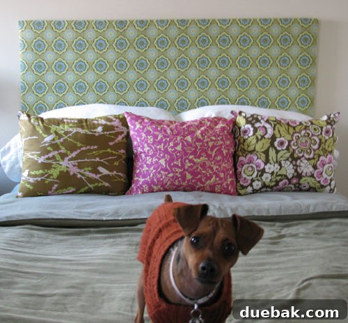 Karen's beautifully upholstered DIY headboard with a vibrant patterned fabric, adding a cozy and stylish touch to her bedroom. A cute Miniature Pinscher dog is visible in the background.