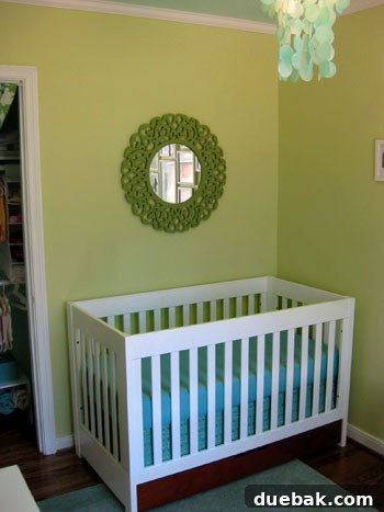 Crib skirt detail and nursery view