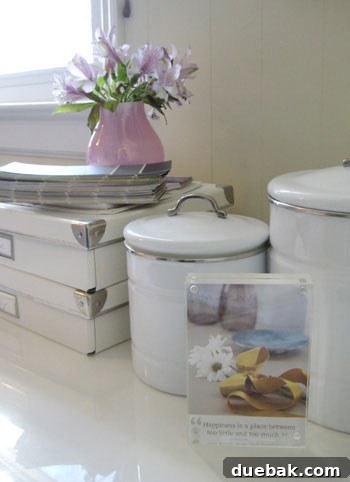 Stylish decorative box used to conceal TV remote controls