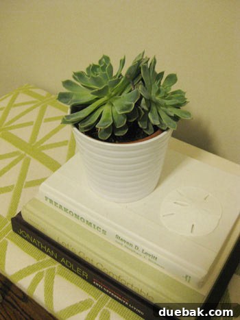 White planter with a tall, vibrant green plant enhancing indoor decor