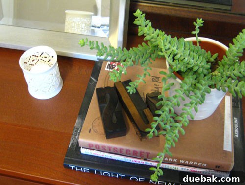 Small decorative planter creatively used for organized storage
