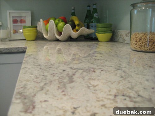 Jumbo faux clam shell used as a stylish and unique fruit bowl in a kitchen