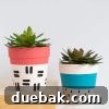 simple painted pots for plants