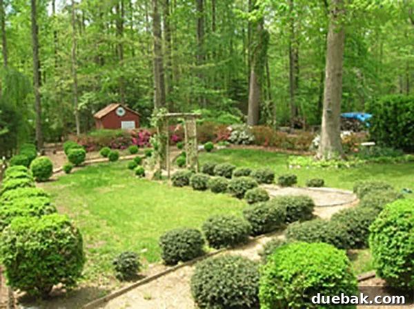 Craigslist Hack: Free Yard Work & Home Labor Made Easy 2 Lush green bushes in a well-maintained garden before removal.