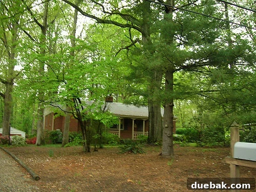 Well-maintained landscaping around a home, promoting security