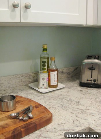 Sleek stainless steel blender and toaster sitting on a modern kitchen countertop, complementing other appliances.