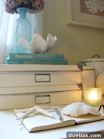 Faux clam shell on a desk, used for holding small office supplies like paperclips and reading glasses.