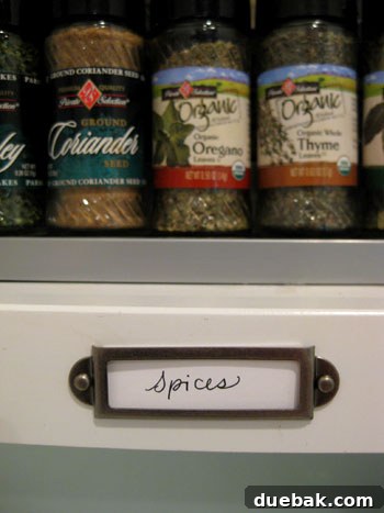 Close-up of 'Spices' section with metal label in organized kitchen cabinet