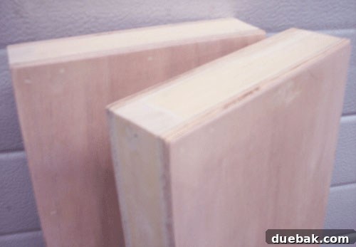 Detailed close-up photo showing wood filler meticulously applied to a DIY floating shelf component during the building project