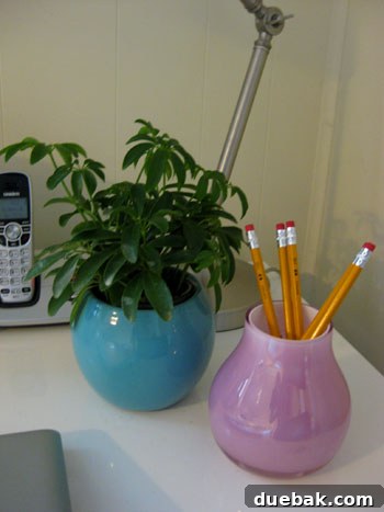 A vibrant green desk plant in a shiny turquoise ceramic pot, beautifully captured in a well-lit indoor setting.