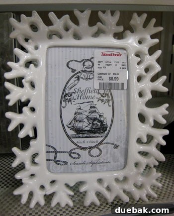 My HomeGoods Daydream 9 Beachy coral frame, charming and versatile accent decor.