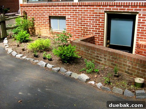 Established evergreen shrubs and flowering bushes providing structure in an edible garden