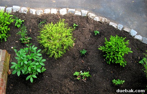 Aerial view of a thriving backyard edible garden from a sunroom, showing organized planting beds