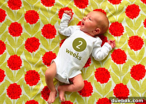 A close-up photo of a baby in a white onesie on a vibrant textile background.