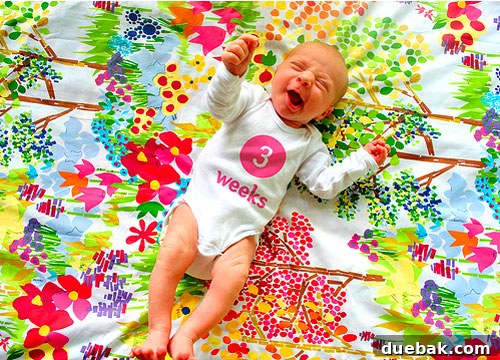 A baby lying on a patterned pillowcase for a weekly growth update photo.