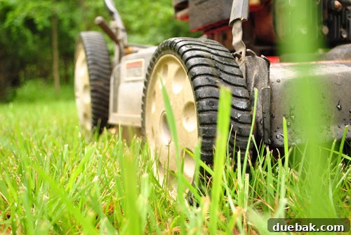Lawn mower spewing white smoke, signaling engine trouble