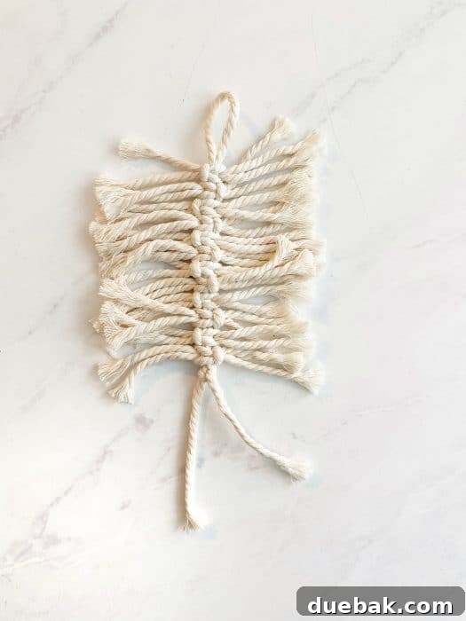 Simple macrame cords showing the process of how to make a macrame feather, with knots completed and ready for brushing.