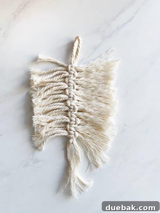 Close-up of macrame cords being brushed out with a comb, illustrating the fringing process.