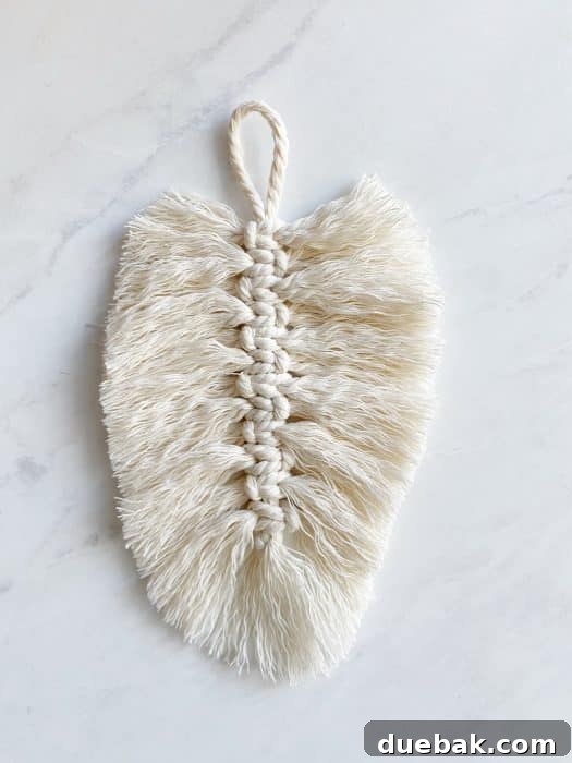 Macrame feather after initial brushing, showing separated fibers.