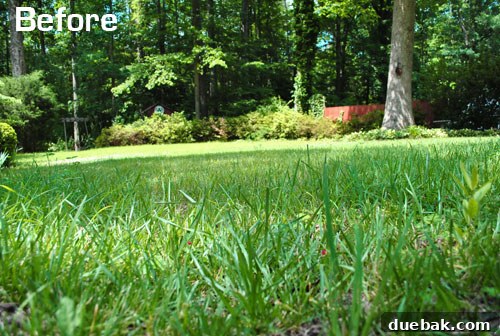 Fiskars Momentum Reel Mower and sticks
