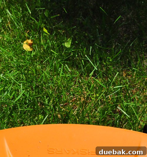 Fiskars Momentum Reel Mower close up of blades