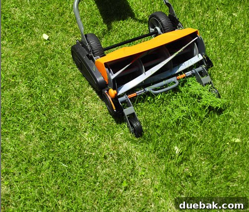 Fiskars Momentum Reel Mower on a large lawn