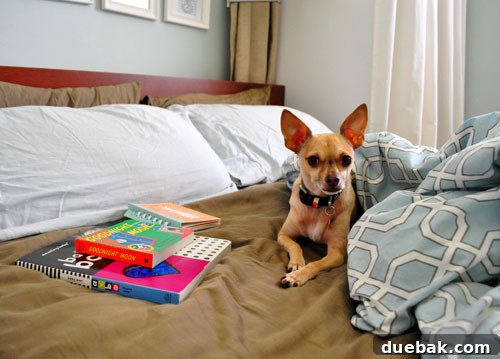Taming the Baby Clutter 3 Our dog, Burger, leisurely relaxing on an unmade bed, surrounded by baby books, reflecting a comfortable, lived-in family home.