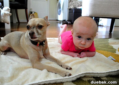 Budgeting Hacks for New Parents 10 img 27570 9