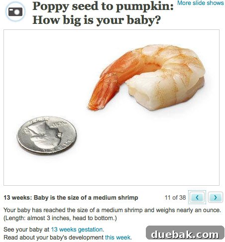 Oh Baby, We're Starting Our New Gig at BabyCenter 2 A heartwarming image of a newborn baby, eyes wide with curiosity, symbolizing the start of a new life journey for parents.