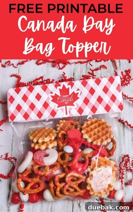 A bag of Canadian themed treats with a cute Canada themed paper bag topper featuring a maple leaf.